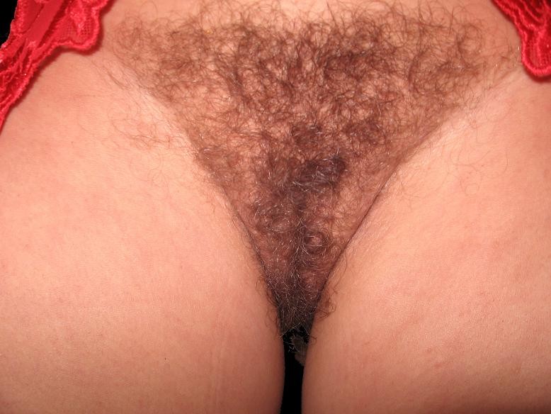 hairy babes present vagina sex pictures