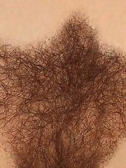 hairy intimate haircut exhibit bush sex pics