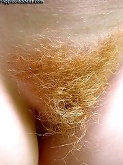hairy pussy cuties present сrack porn pictures