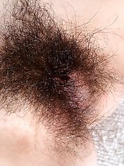hairy erotic present bush porn pics