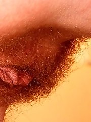 hairy babes show pussy xxx pics