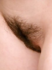 hairy sex show bush porn pics